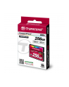 Transcend memory card 256GB Compact Flash 800x - nr 7