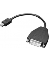 Lenovo Mini-DisplayPort to SL-DVI Cable - nr 25
