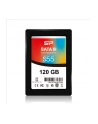Dysk SSD Silicon Power S55 120GB 2.5'' (556/475) - nr 20