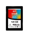 Dysk SSD Silicon Power S55 120GB 2.5'' (556/475) - nr 22