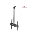 Maclean Uchwyt TV sufitowy 50kg MC-631 32-55 - nr 60