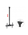 Maclean Uchwyt TV sufitowy 50kg MC-631 32-55 - nr 70