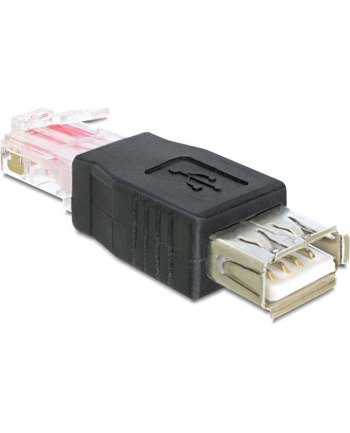 ADAPTER USB AM->RJ45 DELOCK(65234)