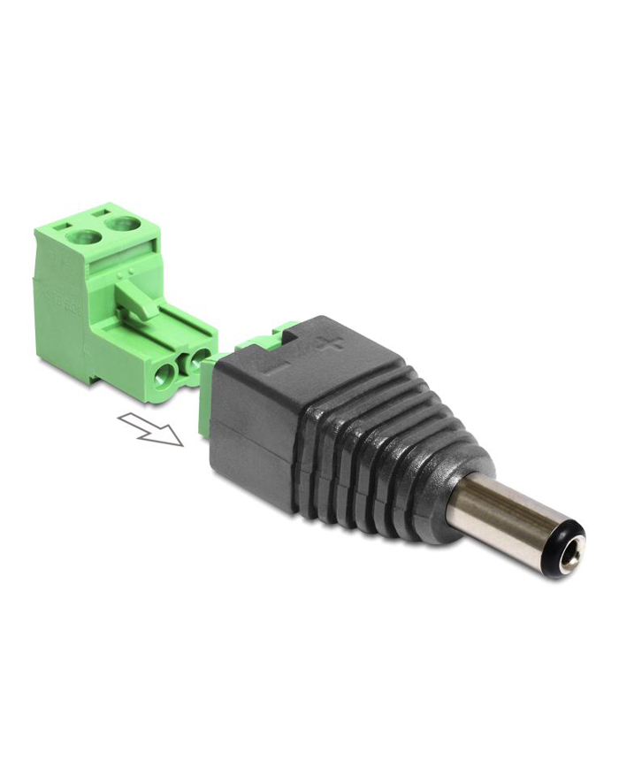 ADAPTER TERMINAL BLOCK (2PIN)->DC 2.5X5.5MM(M) DELOCK główny