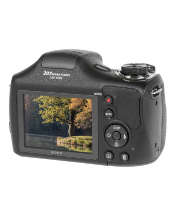 Sony DSC-H300 black