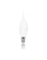 Whitenergy żarówka LED | E14 | 3 SMD 2835 | 3W | 100V-250V | mleczne | C30L - nr 2