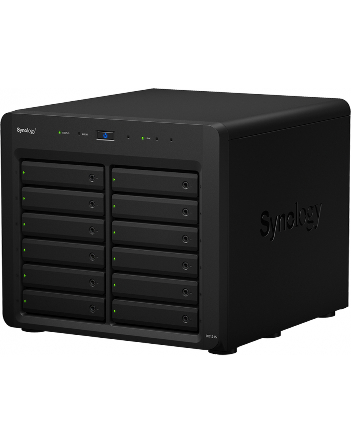 Synology DX1215 główny