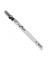 BRZESZCZOT T 101 BR PC5 HCS BOSCH - nr 1