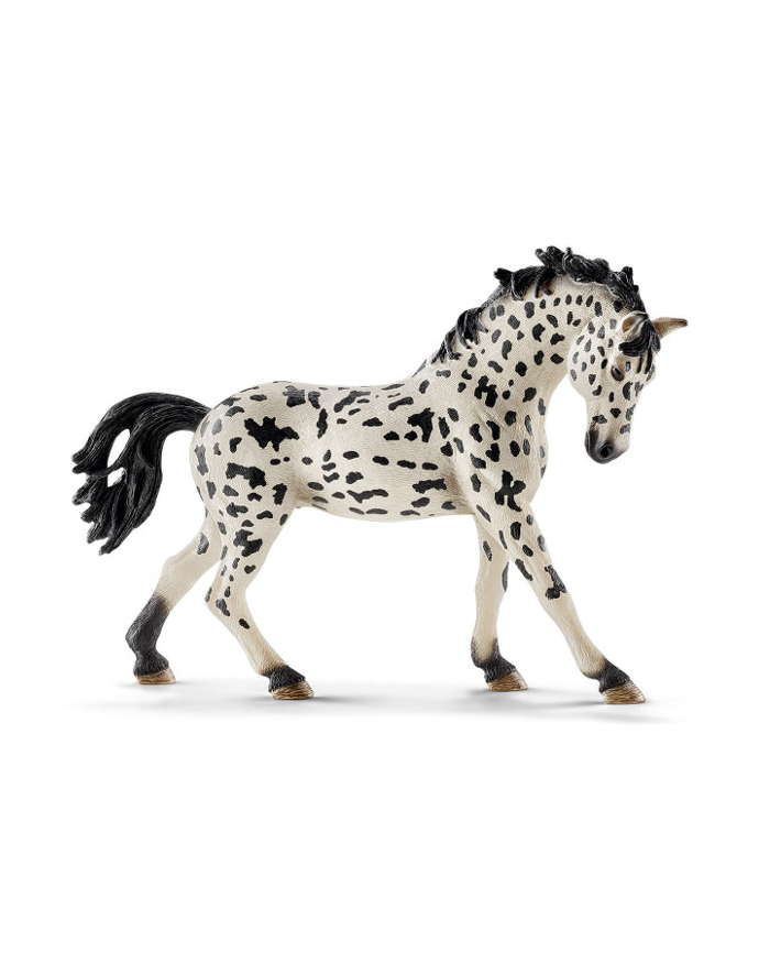 SCHLEICH Knabstrupper klacz główny