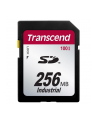 Transcend karta pamięci 256MB SDHC, przemsłowa - nr 1