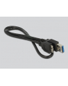 Delock Adapter USB 3.0 > Displayport (4K) - nr 9