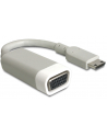 Delock Adapter HDMI-mini C (M) > VGA (F) - nr 6