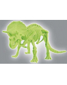 CLEMENTONI Skamieniałości Triceratops - nr 10