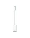 Apple Lightning to USB Camera Adaptor, 0,2m, Lightning to cam.USB - nr 26
