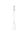Apple Lightning to USB Camera Adaptor, 0,2m, Lightning to cam.USB - nr 57