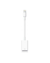 Apple Lightning to USB Camera Adaptor, 0,2m, Lightning to cam.USB - nr 58