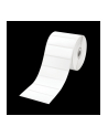 Brother Paper Labels 1552St/role, TD-4000 Serie width 76*26 - nr 6