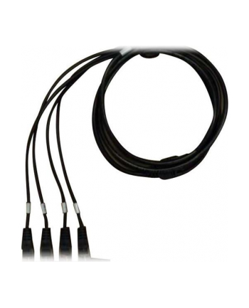 Cable for KX-NS500/ KX-NS700 DHLC4 card - 4 Ports (2 DLC and 2 SLT ports)