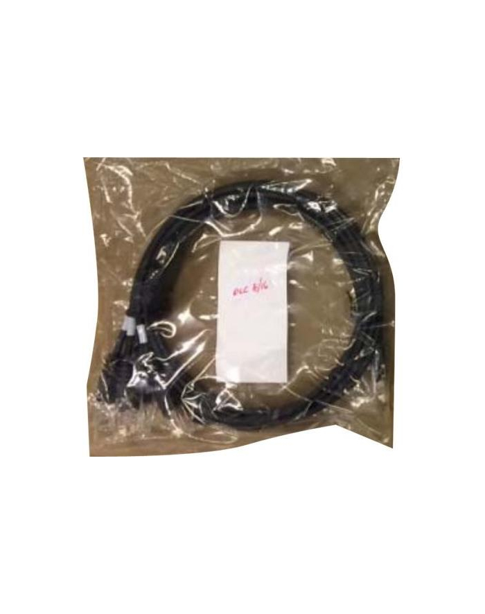 Cable for KX-NS500/ KX-NS700 DLC8 or DLC16 card - 4 Ports główny