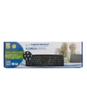 ESPERANZA EK129 Klawiatura Standardowa USB / 104 Klawisze, DUŻE LITERY - nr 10