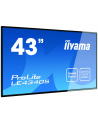 Monitor IIYAMA 43'' LE4340S-B1 AMVA DVI/HDMI/USB Player/2x10W - nr 8