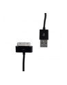 Whitenergy Kabel USB 2.0 do iPhone 4 transfer/ładowanie 30cm czarny - nr 1