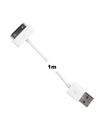 Whitenergy Kabel USB 2.0 do iPhone 4 transfer/ładowanie 100cm biały