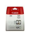 CANON Tusz PG-545/CL-546=PG545/CL546=8287B005  Zestaw Bk+Kolor  PG-545+CL-545 - nr 22