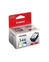 CANON Tusz Kolor CL-546XL=CL546XL=8288B001  300 str. - nr 4