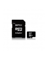 SILICON POWER 16GB, MICRO SDHC, CLASS 10 WITH SD ADAPTER - nr 12