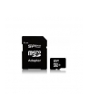 SILICON POWER 16GB, MICRO SDHC, CLASS 10 WITH SD ADAPTER - nr 16