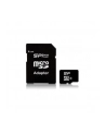 SILICON POWER 16GB, MICRO SDHC, CLASS 10 WITH SD ADAPTER - nr 20