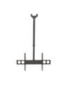 Manhattan Uchwyt sufitowy do TV LED/LCD/PLAZMA, 37-70'', 50kg, regulowany, VESA - nr 17