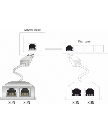 Delock adapter rozdzielacz spliter RJ-45 na 2XRJ-45 nr 2