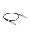Delock kabel Mini SAS HD SFF-8644 > Mini SAS HD SFF-8644 2 m - nr 11