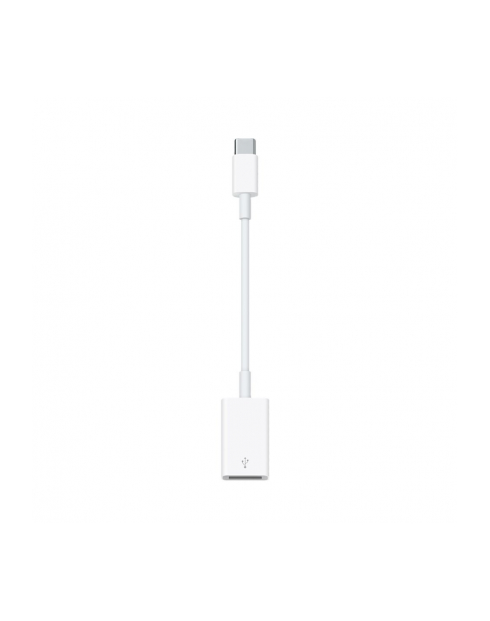 Apple USB-C to USB Adapter główny