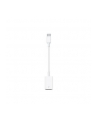 Apple USB-C to USB Adapter - nr 23