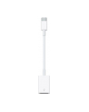 Apple USB-C to USB Adapter - nr 24