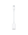 Apple USB-C to USB Adapter - nr 30