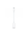 Apple USB-C to USB Adapter - nr 42