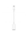 Apple USB-C to USB Adapter - nr 43