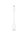 Apple USB-C to USB Adapter - nr 51