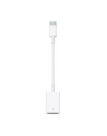 Apple USB-C to USB Adapter - nr 53