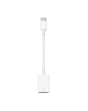 Apple USB-C to USB Adapter - nr 54