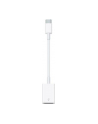 Apple USB-C to USB Adapter - nr 55