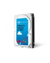 HDD int. 2,5 2TB Seagate ST2000NX0273, SAS 12Gb/s 7200rpm 128MB RAID - nr 2