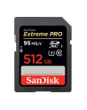 Sandisk SDXC Extreme PRO 128GB Class 10 UHS Class U3 - nr 11