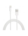 Apple przewód Lightning na USB (2 m) retail packed - nr 16
