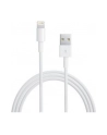 Apple przewód Lightning na USB (2 m) retail packed - nr 30