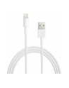 Apple przewód Lightning na USB (2 m) retail packed - nr 15